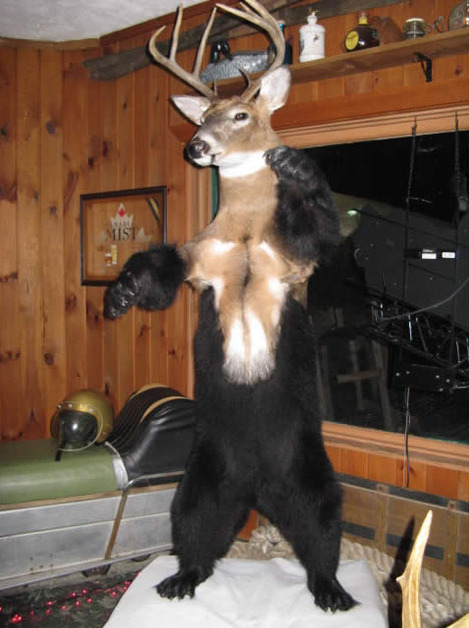 A great web design by Dante Studios, London, United Kingdom: 