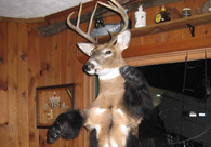 A great web design by Dante Studios, London, United Kingdom: 