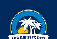 A great web design by Los Angeles Bizz, Los Angeles, CA: 