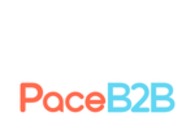 A great web design by PaceB2B, Delaware City, DE: 