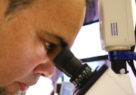 A great web design by Thyroid Doctor Miami, Hialeah, FL: 