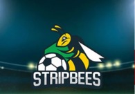 A great web design by Go Up, Dubai, United Arab Emirates: 