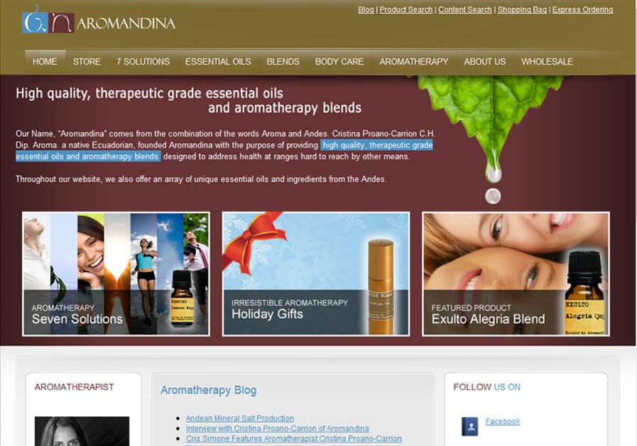 A great web design by Yapaweb, Gainesville, GA: 