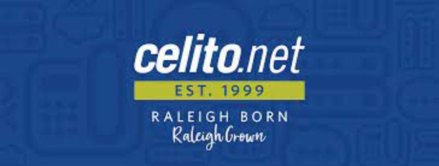 A great web design by celitoNet, Amb, India: 