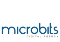 A great web design by Microbits, Dubai, United Arab Emirates: 