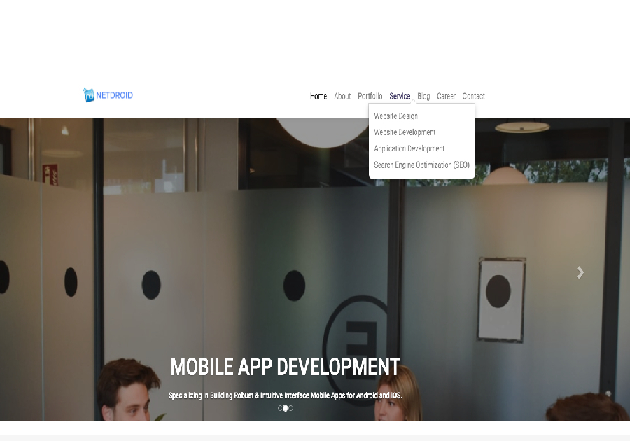 A great web design by NetDroid Technology, Los Angeles, CA: 