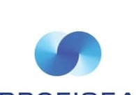 A great web design by ProfiSea, Hod Hasharon, Israel: 