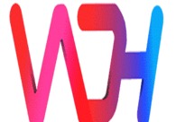 A great web design by Web Designing House Pvt. Ltd., Delhi, India: 