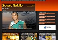 A great web design by Dan Rubin, Fort Lauderdale, FL: 