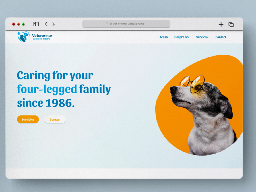 A great web design by Sage Studios , Bucharest, Romania: 