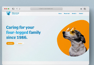 A great web design by Sage Studios , Bucharest, Romania: 