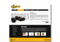 A great web design by YnM Creations, Colombo, Sri Lanka: 