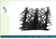 A great web design by Erica Schnuck, Charlotte, NC: 