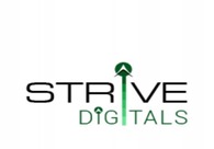A great web design by Strive Digital Private Limited, Ahmedabad, India: 