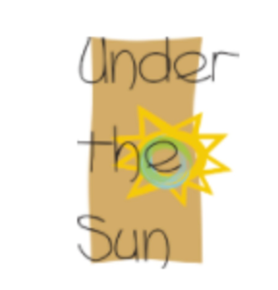 A great web design by Under the Sun Store, University Place, WA: 