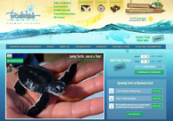 A great web design by Caxiam Group, Orlando, FL: 