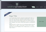 A great web design by Random Jumping Design, Charlotte, NC: 