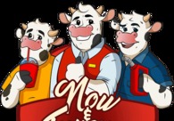 A great web design by Now and Forever, Houston, TX: 