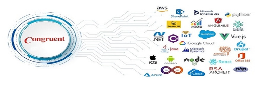 A great web design by Congruent Software Inc	, Bellevue, WA: 