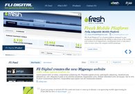 A great web design by Fli Digital, New York, NY: 