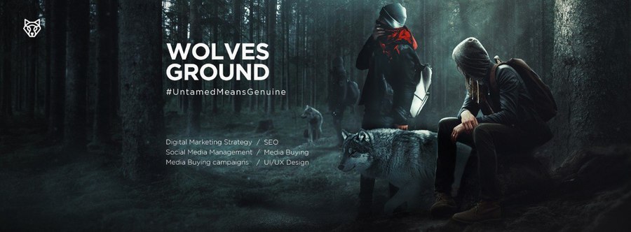 A great web design by Wolves Ground , Cairo, Egypt: 