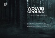 A great web design by Wolves Ground , Cairo, Egypt: 