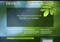 A great web design by Christine Galvin Design, Inc., Cleveland, OH: 