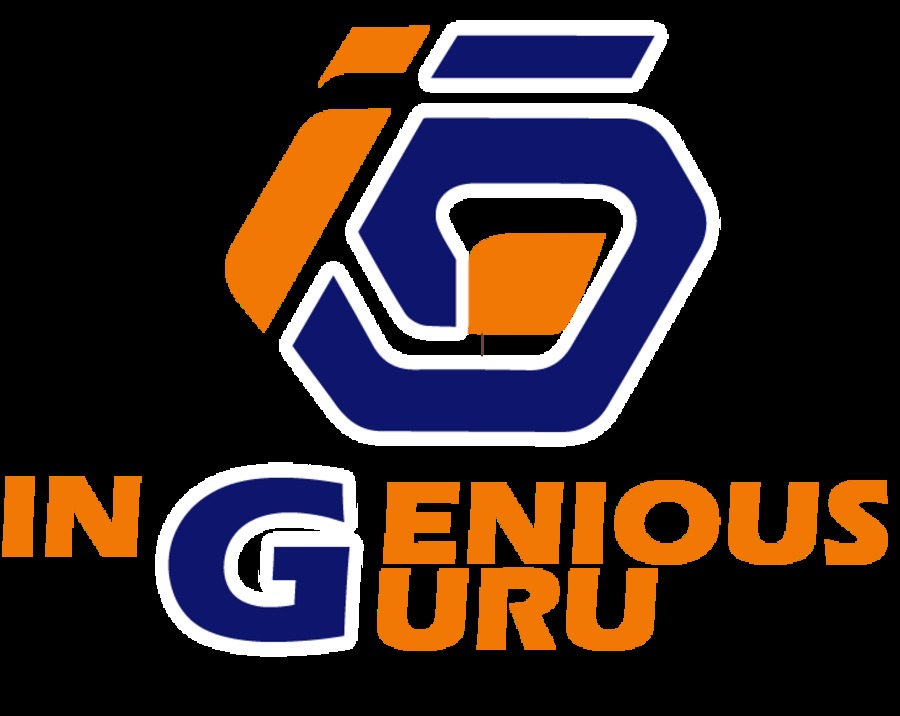 A great web design by Ingenious Guru NYC, Huntington Station, NY: 