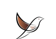 A great web design by Volga Tigris , Dubai, United Arab Emirates: 