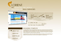 A great web design by Lorient Solutions, Chicago, IL: 