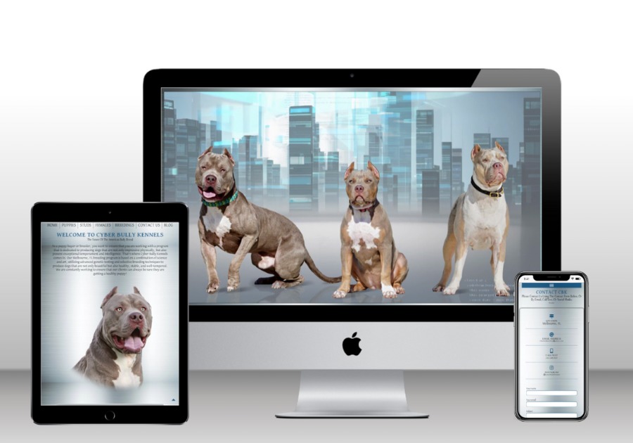 A great web design by Breeder Designs, East Saint Louis, IL: Responsive Website, Other, Other, Wordpress
