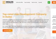 A great web design by CMOLDS Dubai, Dubai, United Arab Emirates: 