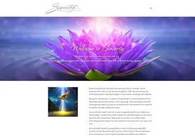 A great web design by Third Eye Design Studio LLC, Asheville, NC: 