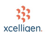 A great web design by Xcelligen Inc, Herndon, VA: 