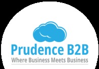 A great web design by Prudence B2B, Durham, NC: 