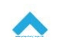 A great web design by Perpetual Agency, Ryad, Russia: 