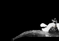 A great web design by Progressive UX, Austin, TX: 