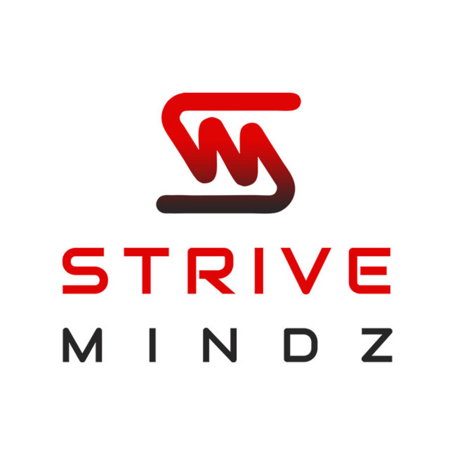 A great web design by Strivemindz Pvt Ltd, Jaipur, India: 