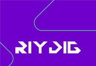 A great web design by Riydig, Cairo, Egypt: 