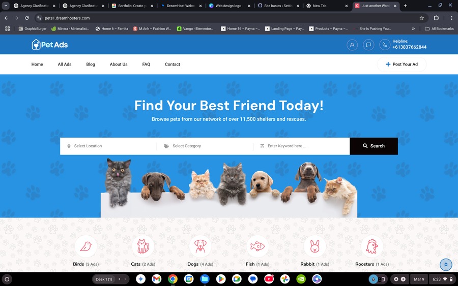 A great web design by Ageance | Web Design Agency, Doha, Qatar: 