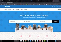 A great web design by Ageance | Web Design Agency, Doha, Qatar: 