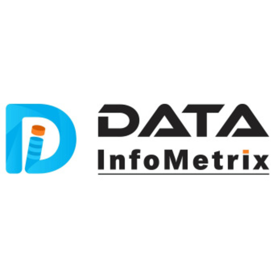 A great web design by Data InfoMetrix, Saint Petersburg, FL: 