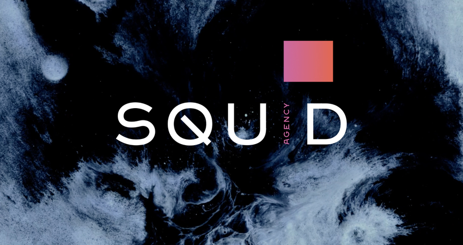 A great web design by Agency Squid, Minneapolis, MN: 