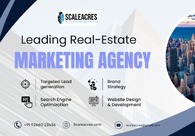 A great web design by Scaleacres Promotech, Delhi, India: 