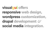 A great web design by visualgui.com, Washington DC, DC: 