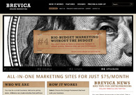 A great web design by Brevica Online Marketing, Seattle, WA: 