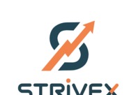 A great web design by StriveX Digi Solutions, Lahore, Pakistan: 