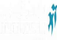 A great web design by Central Trading Company, Dubai, United Arab Emirates: 