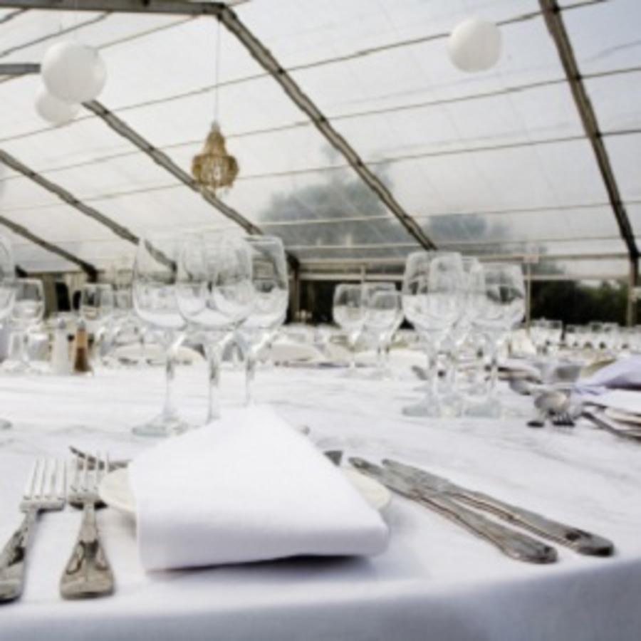 A great web design by The Ashley Castle, Chandler, AZ: Other, Other