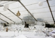 A great web design by The Ashley Castle, Chandler, AZ: Other, Other